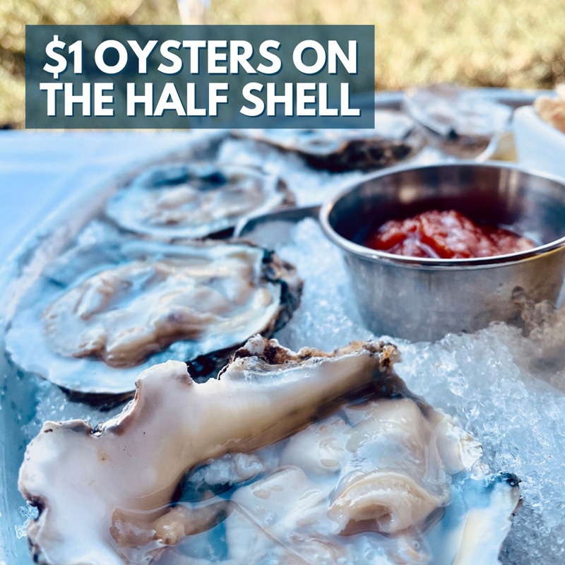 1-Dollar-Oysters